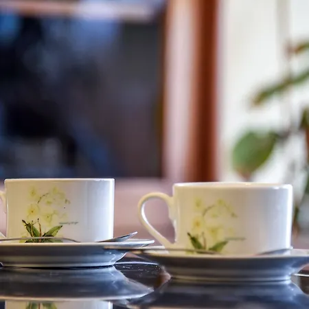 Neriesapartment No.1 Holidays By J. Basanaviciaus * Połąga