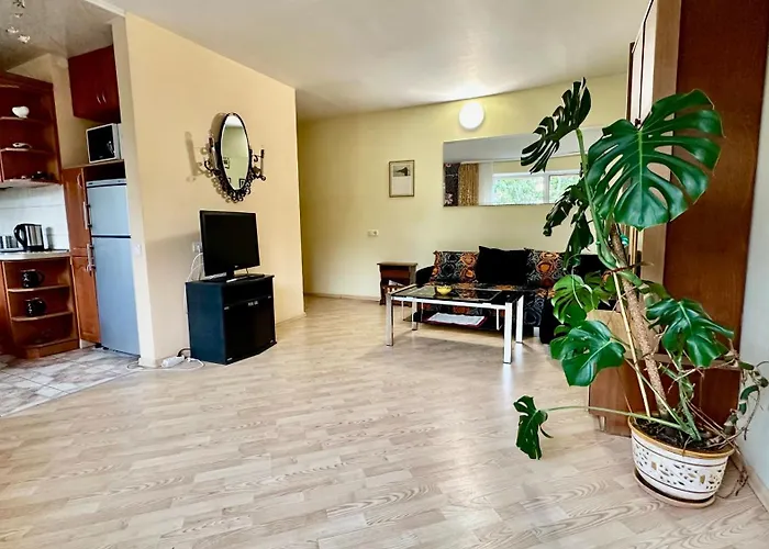 Neriesapartment No.1 Holidays By J. Basanaviciaus * 팔랑가