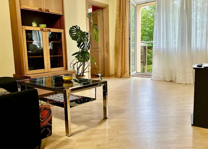 아파트 Neriesapartment No.1 Holidays By J. Basanaviciaus