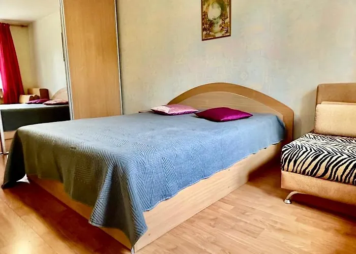 아파트 Neriesapartment No.1 Holidays By J. Basanaviciaus *