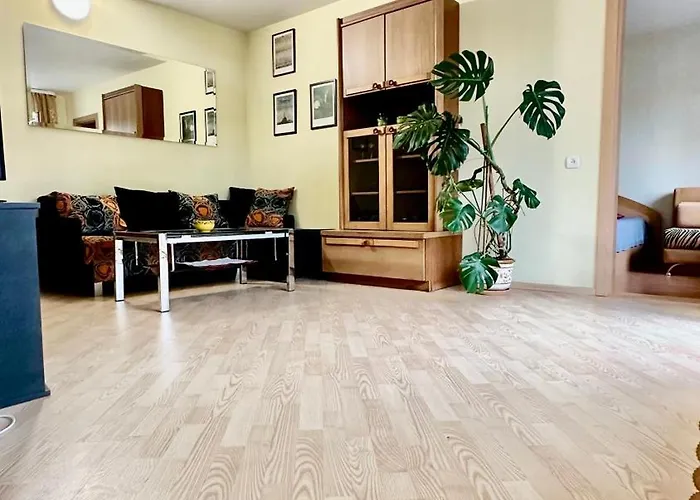 Neriesapartment No.1 Holidays By J. Basanaviciaus *